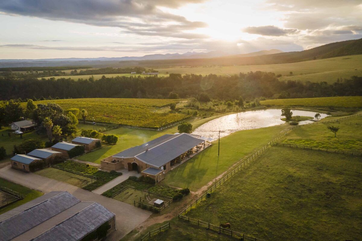 Kay & Monty Vineyards, photo 1