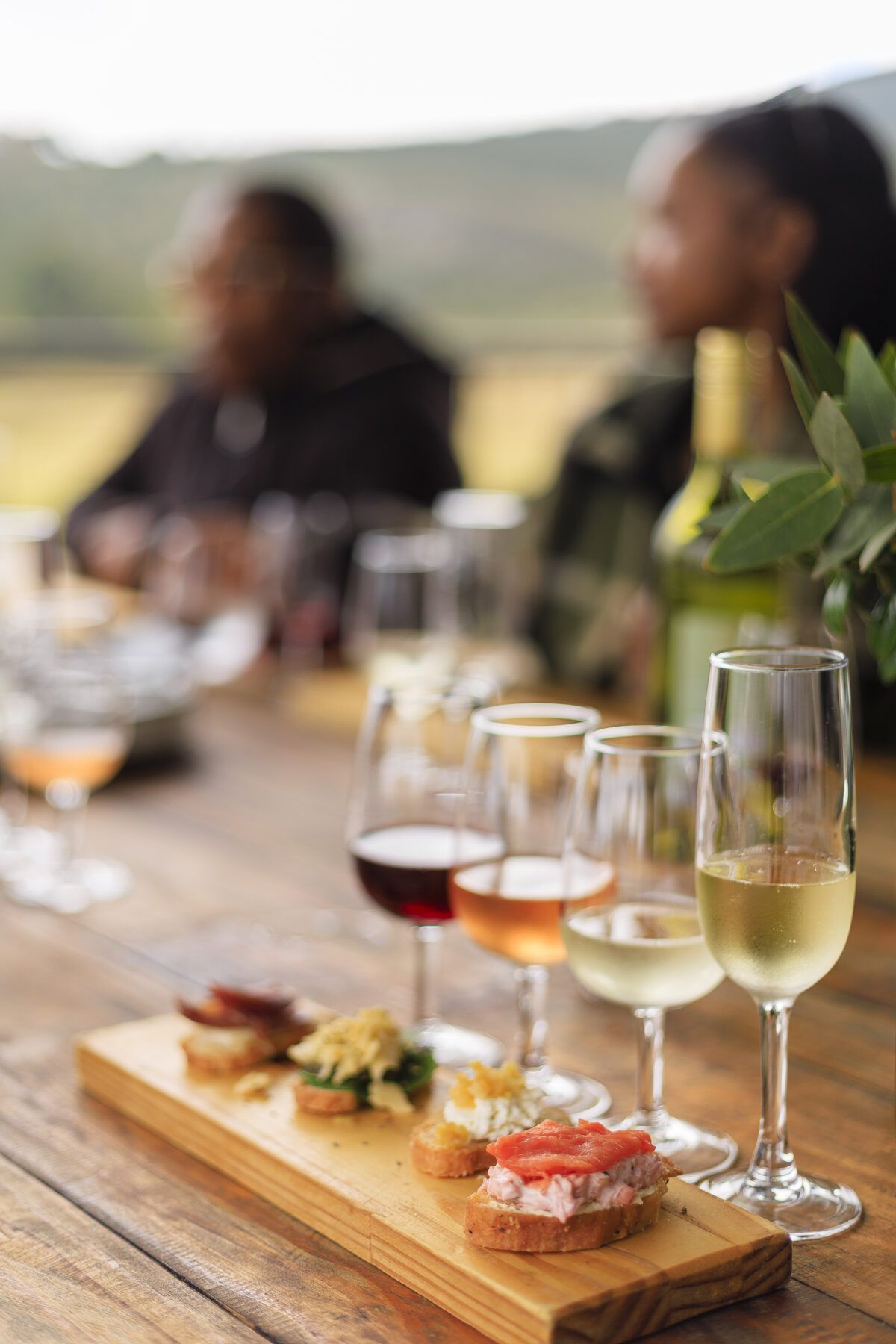 Kay & Monty Vineyards, photo 2