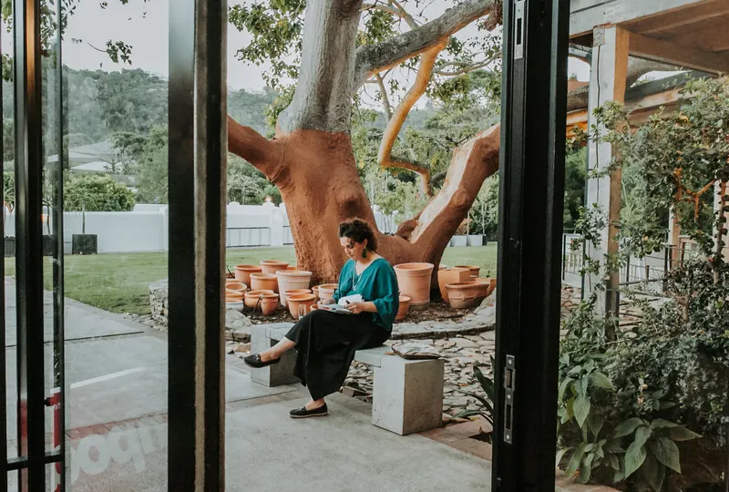 A guest in the courtyard under the big tree, Barrington’s